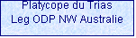 Zone de Texte: Platycope du Trias
Leg ODP NW Australie

